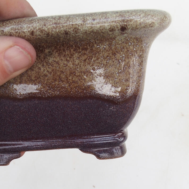 Miska Bonsai 14 x 14 x 8 cm, kolor bordowy