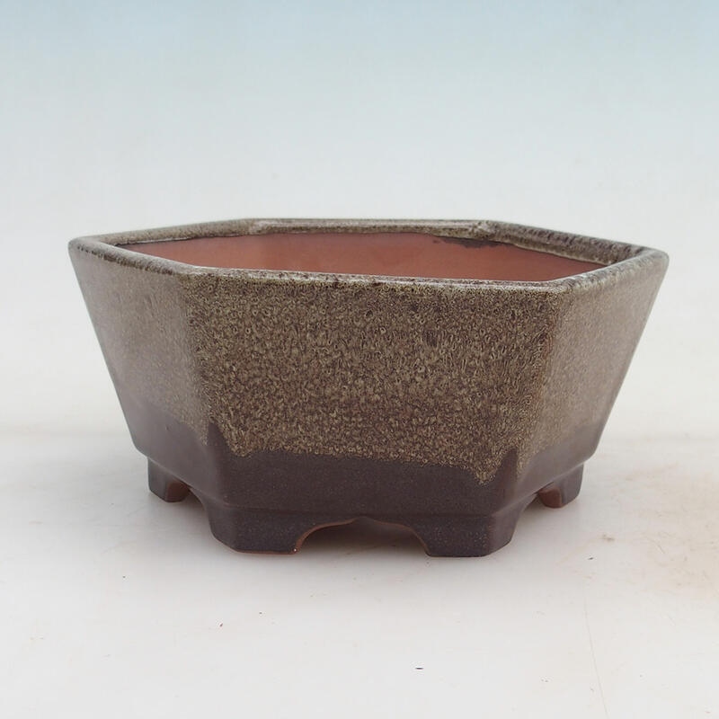 Miska Bonsai 15,5 x 14,5 x 7 cm, kolor wina