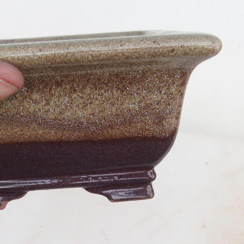 Miska Bonsai 15,5 x 15,8 x 8 cm, kolor bordowy