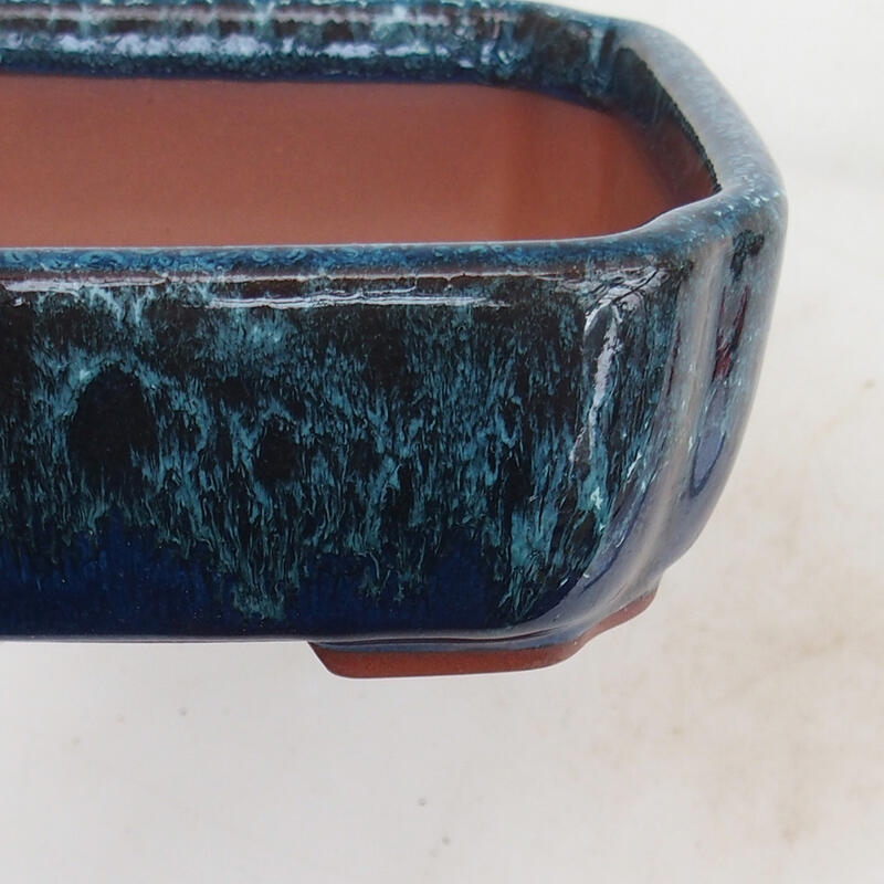 Miska Bonsai 15 x 13 x 5 cm, kolor niebiesko-biały