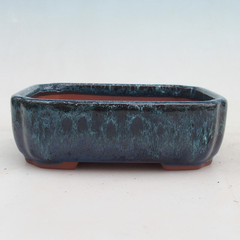 Miska Bonsai 15 x 13 x 5 cm, kolor niebiesko-biały