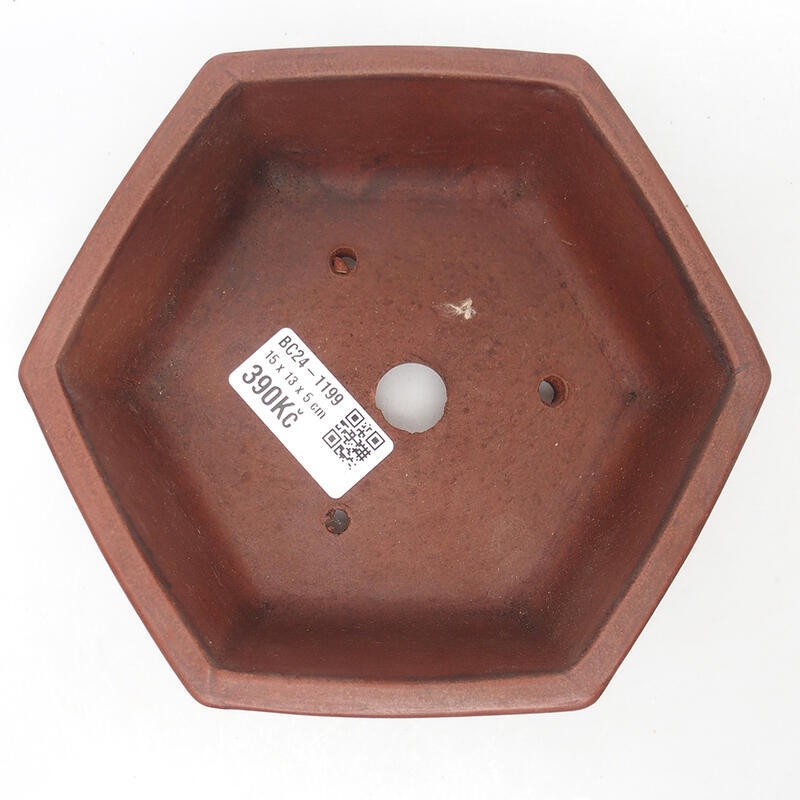 Miska Bonsai 15 x 14 x 5,5 cm, kolor brązowy