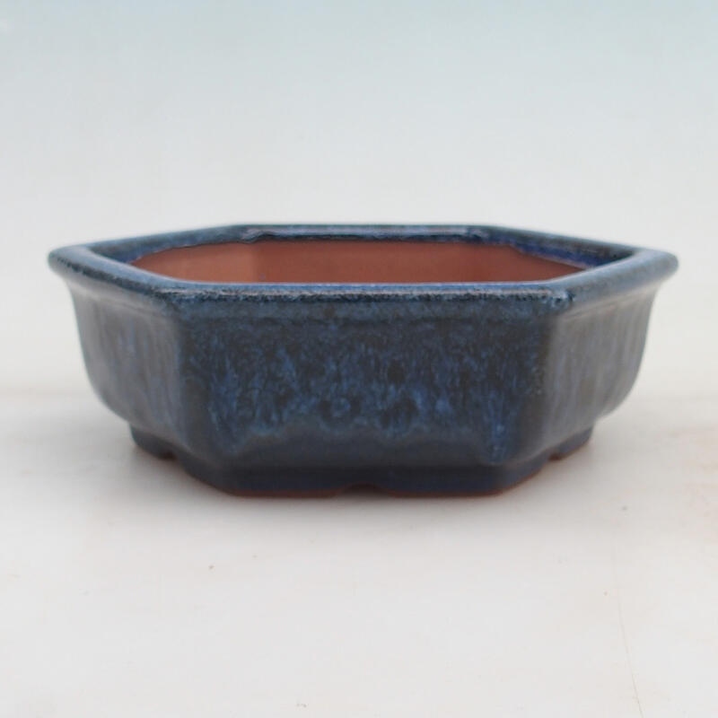 Miska Bonsai 16 x 14 x 5 cm, kolor niebieski