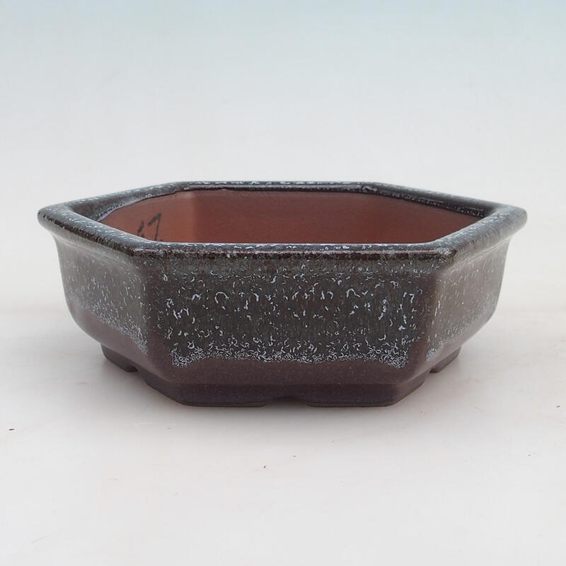 Miska Bonsai 16 x 14 x 5 cm, kolor wina