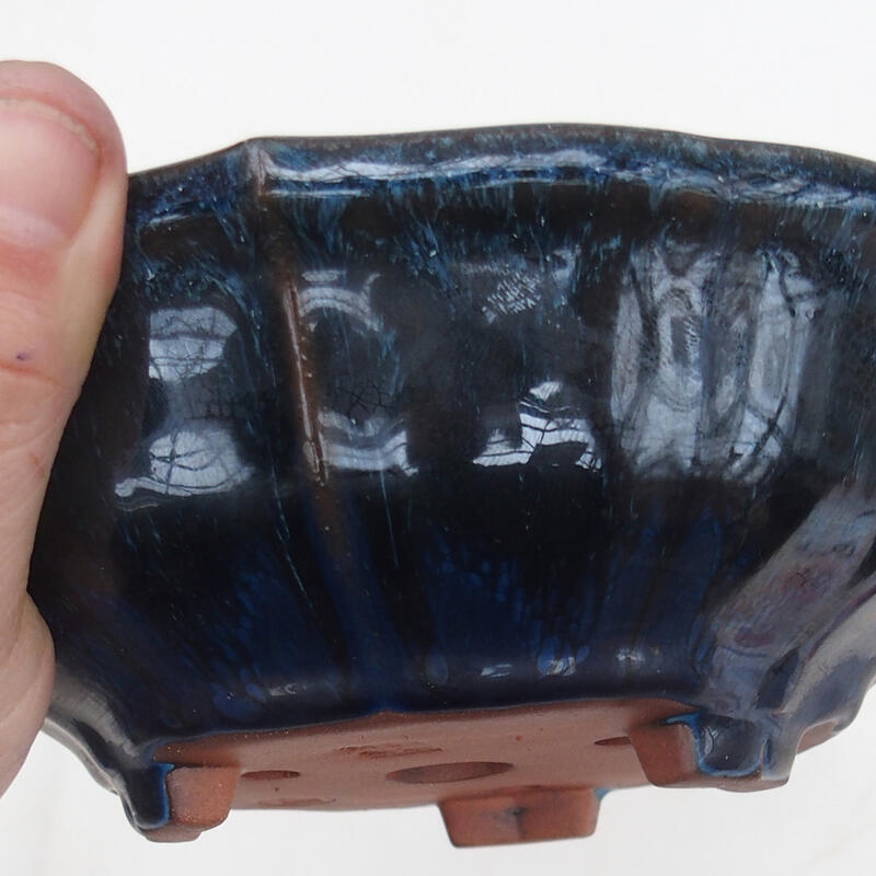 Miska Bonsai 18 x 18 x 6 cm, kolor niebieski