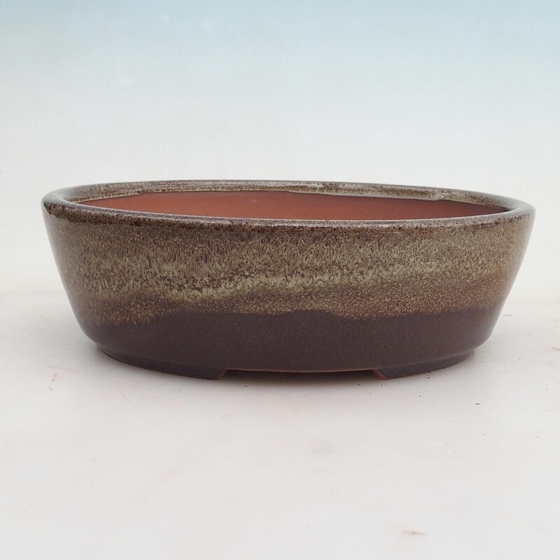 Miska Bonsai 20,5 x 17 x 6 cm, kolor bordowy