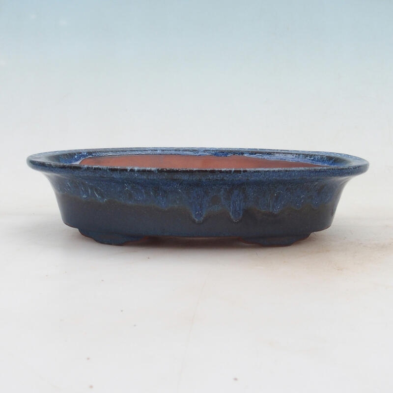 Miska bonsai 21 x 14 x 5 cm, kolor niebieski