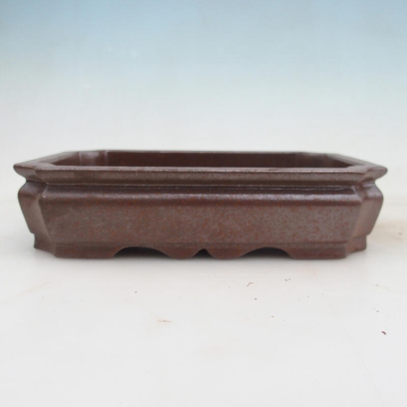 Miska bonsai 21 x 16 x 5 cm, kolor naturalny