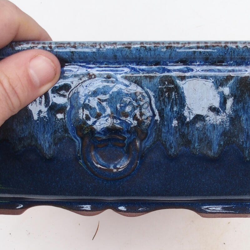 Miska Bonsai 21 x 21 x 9 cm, kolor niebieski