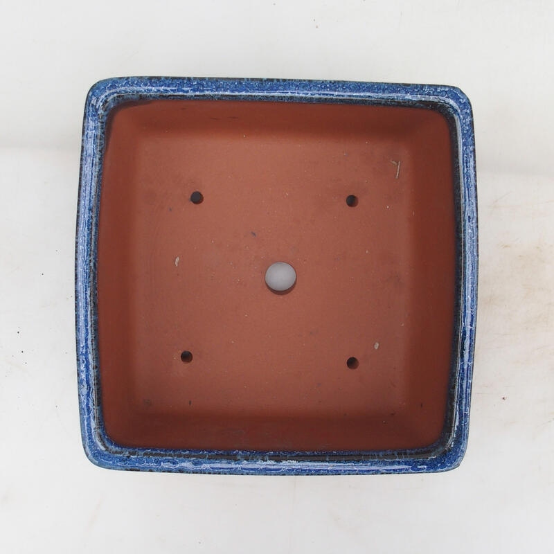 Miska Bonsai 21 x 21 x 9 cm, kolor niebieski