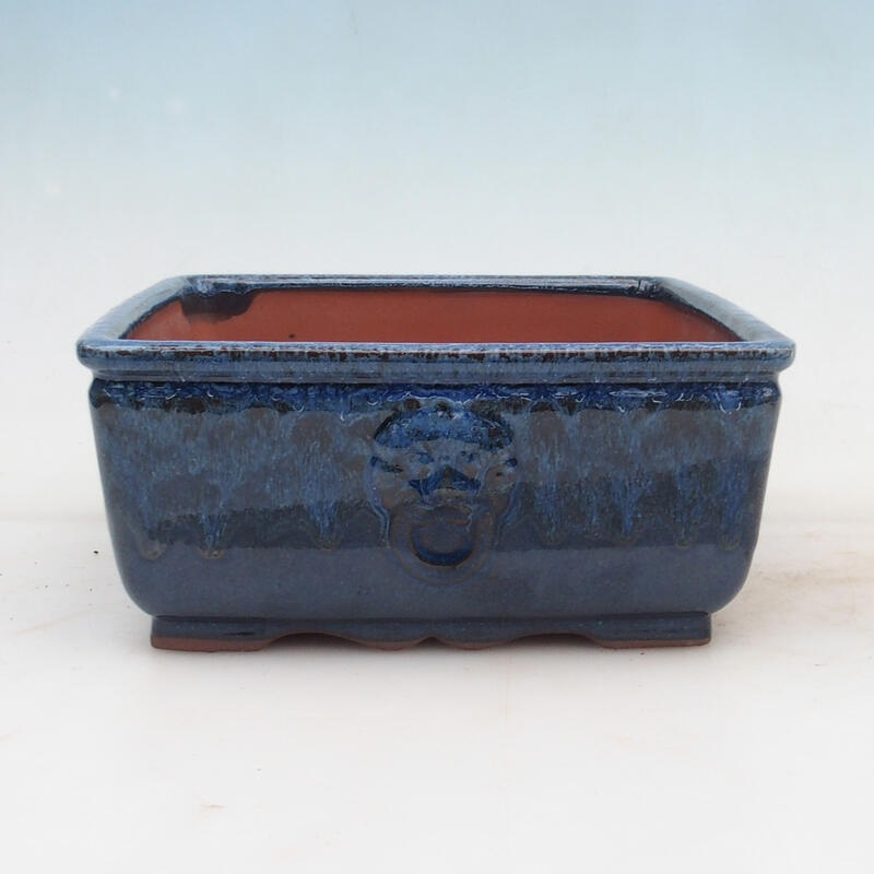 Miska Bonsai 21 x 21 x 9 cm, kolor niebieski