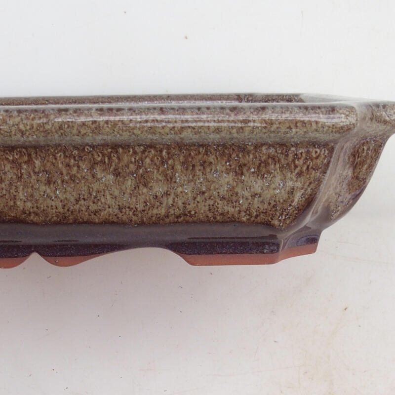 Miska Bonsai 22 x 16,5 x 4 cm, kolor brązowy