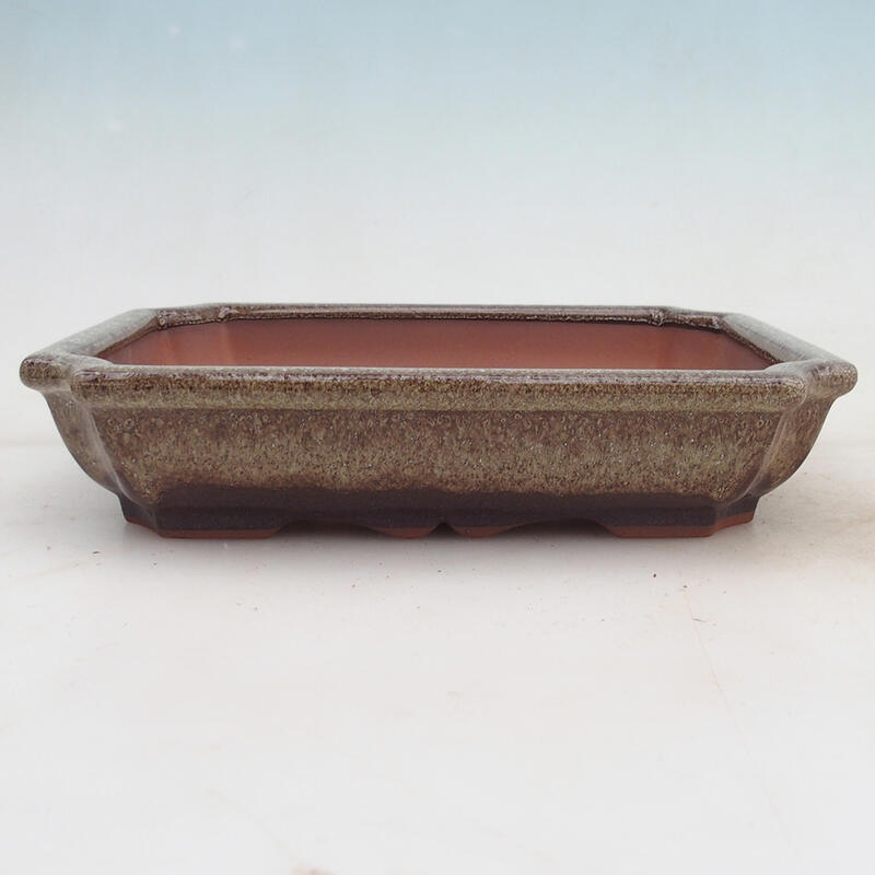 Miska Bonsai 22 x 16,5 x 4 cm, kolor brązowy