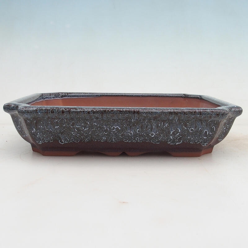 Miska Bonsai 22 x 16,5 x 4 cm, kolor wina