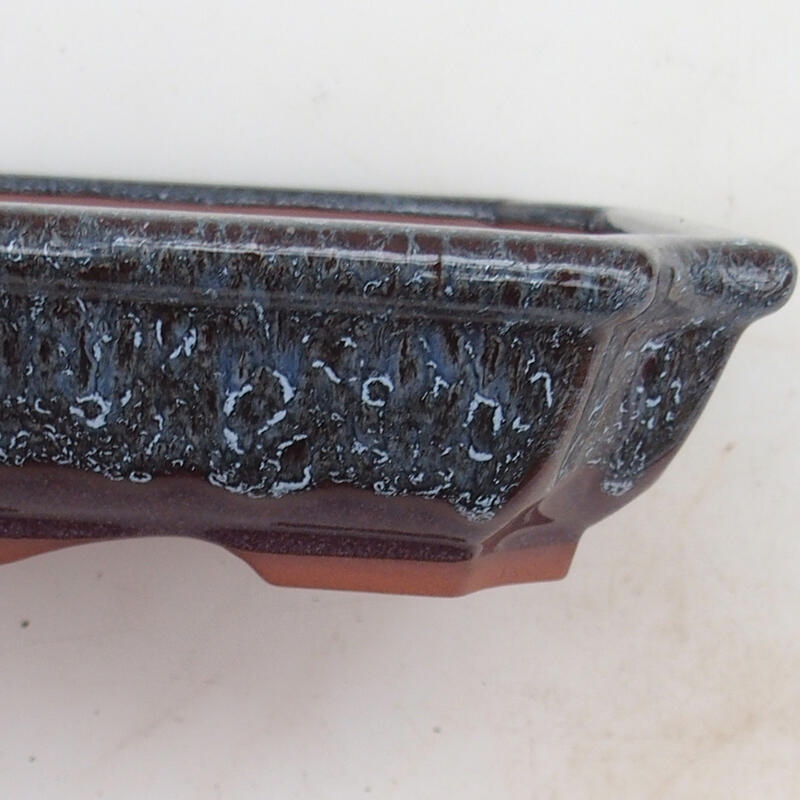Miska Bonsai 22 x 16,5 x 4 cm, kolor wina