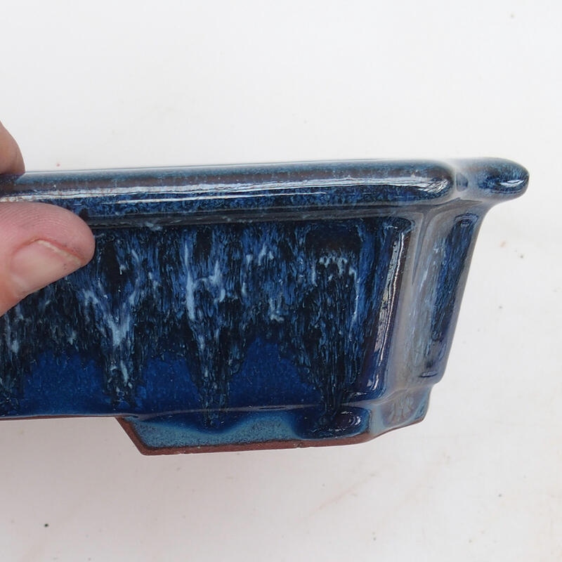Miska Bonsai 22 x 17 x 5,5 cm, kolor niebieski