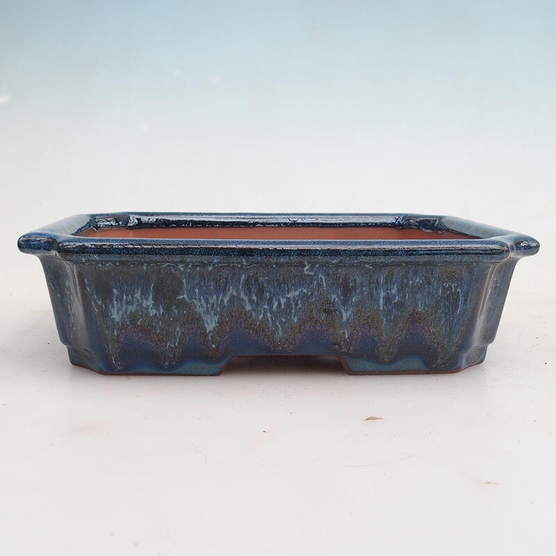 Miska Bonsai 22 x 17 x 5,5 cm, kolor niebieski