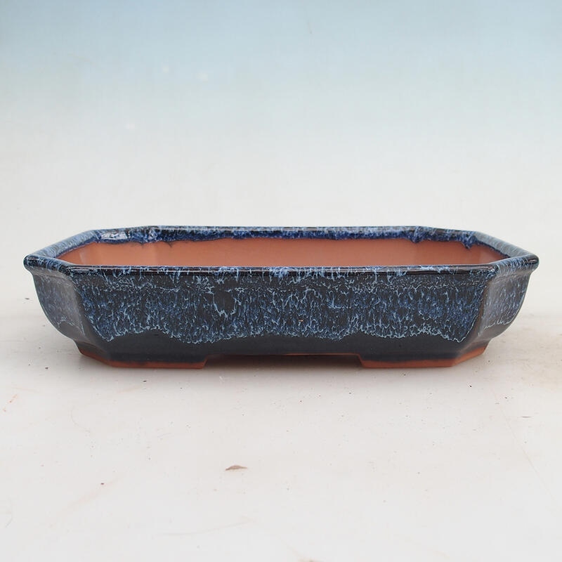 Miska Bonsai 23 x 17,5 x 4,5 cm, kolor niebieski