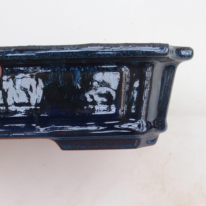 Miska Bonsai 25 x 20 x 6 cm, kolor niebieski