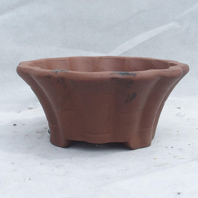 Miska Bonsai 29 x 29 x 13 cm, kolor szary