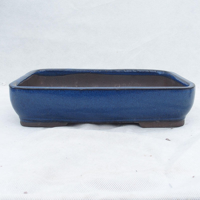 Miska Bonsai 30 x 21 x 7 cm, kolor niebieski