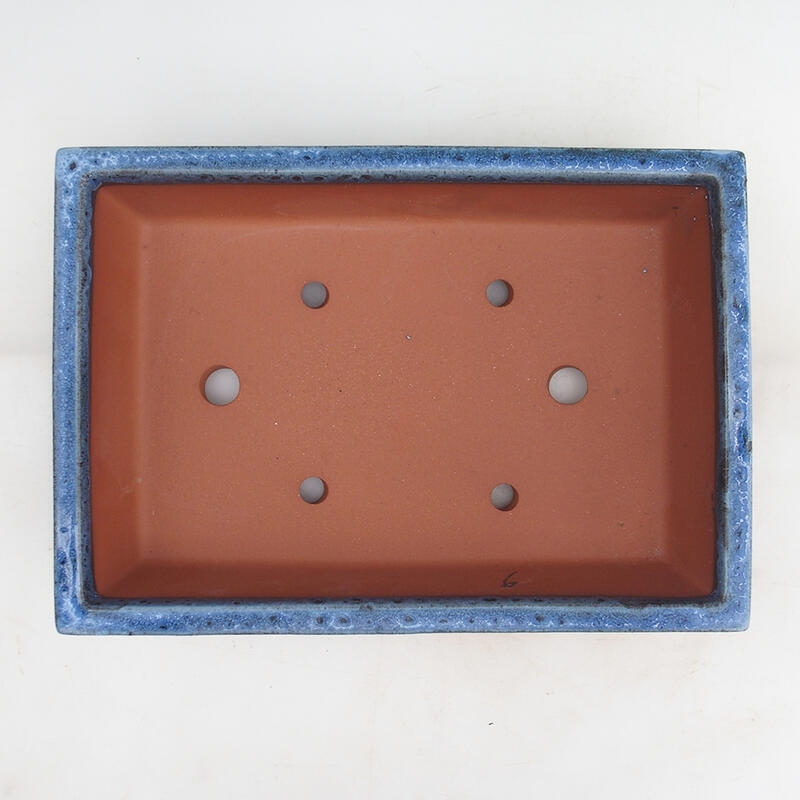 Miska Bonsai 31 x 22 x 8 cm, kolor niebieski