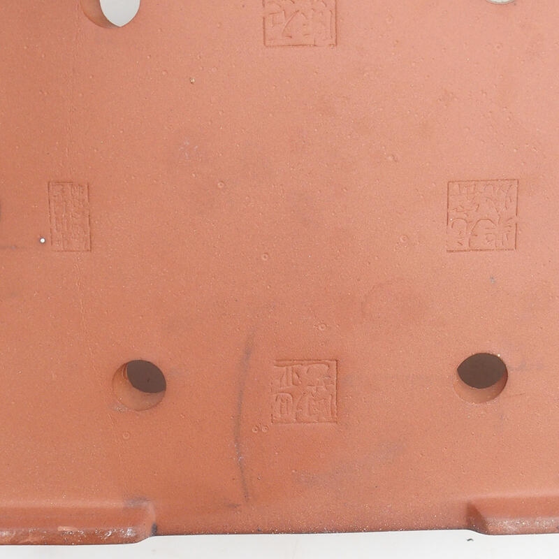 Miska Bonsai 31 x 22 x 8 cm, kolor niebieski