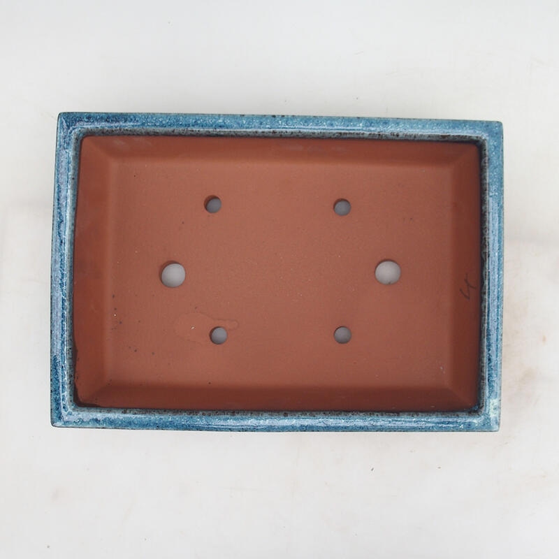 Miska Bonsai 31 x 22 x 8 cm, kolor niebiesko-biały