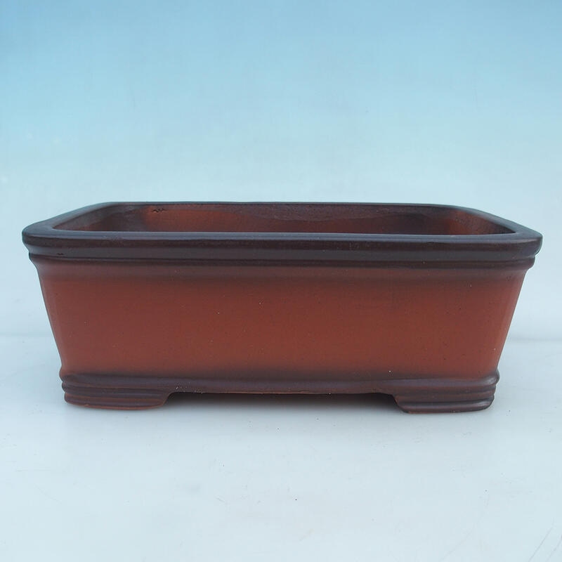 Miska Bonsai 33 x 23,5 x 12 cm, kolor ceglasty