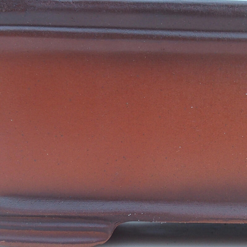 Miska Bonsai 33 x 23,5 x 12 cm, kolor ceglasty