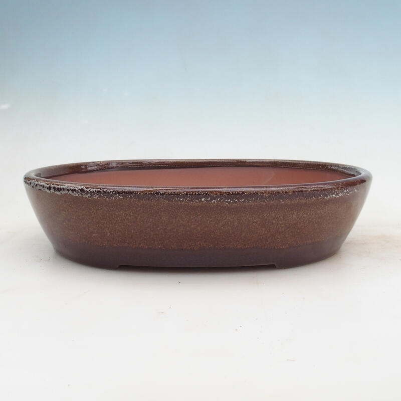 Miska Bonsai 34 x 27 x 7,5 cm, kolor brązowy