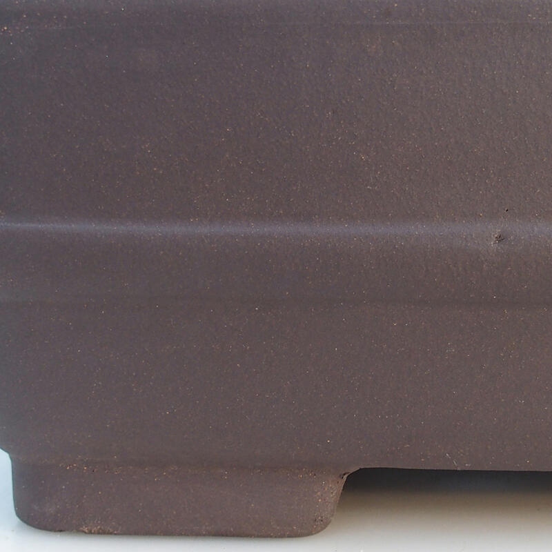 Miska Bonsai 41,5 x 28 x 14 cm, kolor czarny - transport tylko na paletach