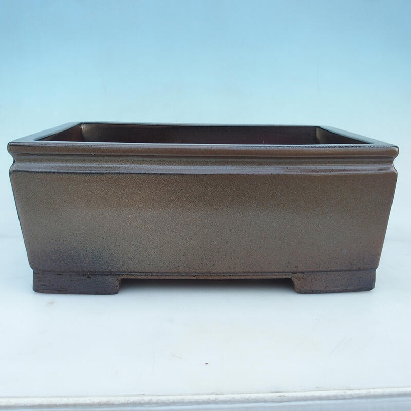 Miska Bonsai 41,5 x 29 x 17,5 cm, kolor brązowy - tylko transport paletowy