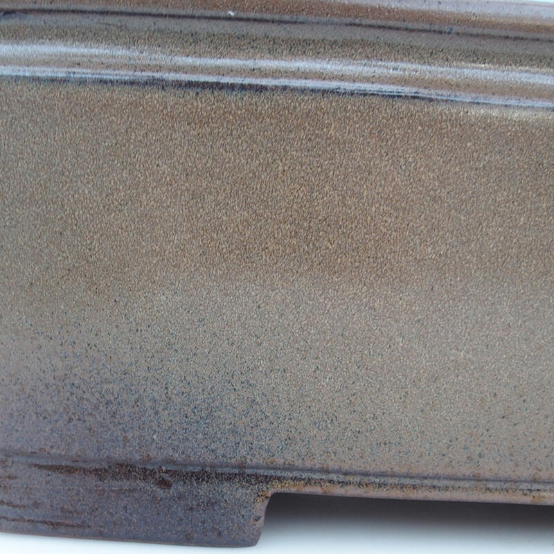 Miska Bonsai 41,5 x 29 x 17,5 cm, kolor brązowy - tylko transport paletowy