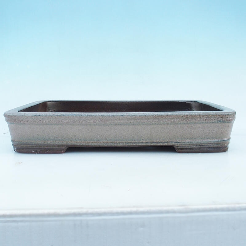 Miska Bonsai 41 x 28 x 7 cm, kolor beżowy