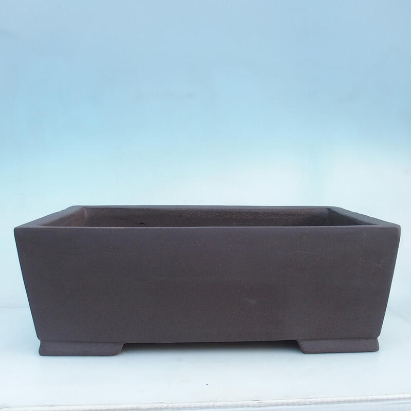 Miska Bonsai 49,5 x 34 x 18 cm, kolor brązowy - transport tylko na paletach