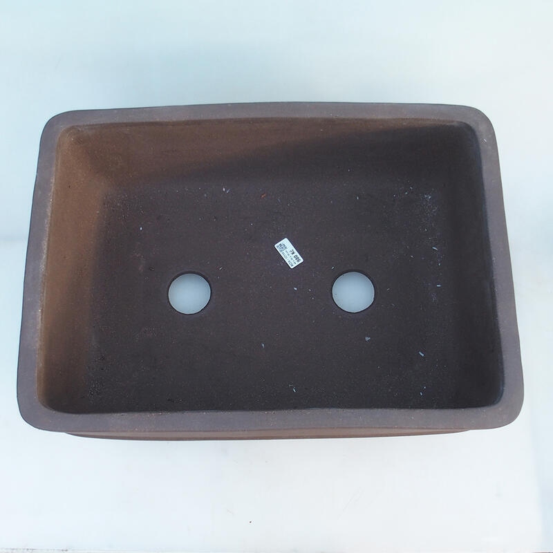 Miska Bonsai 50 x 35 x 19,5 cm, kolor brązowy - transport tylko na paletach