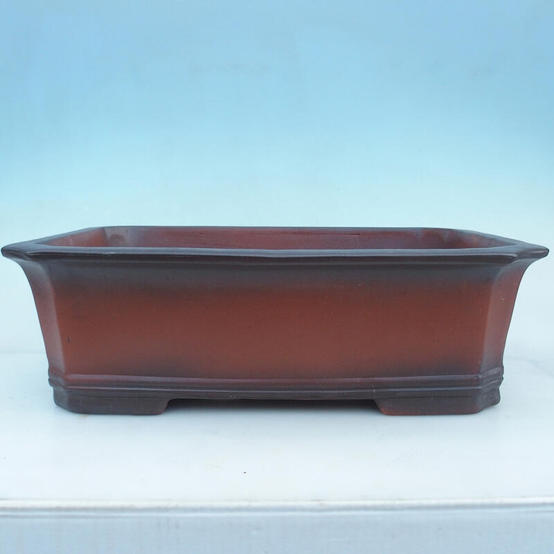 Miska Bonsai 51,5 x 37,5 x 16 cm, kolor ceglasty - transport tylko na paletach