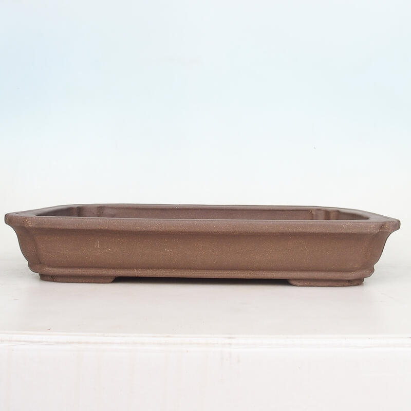 Miska bonsai 51 x 33,5 x 8 cm, kolor naturalny