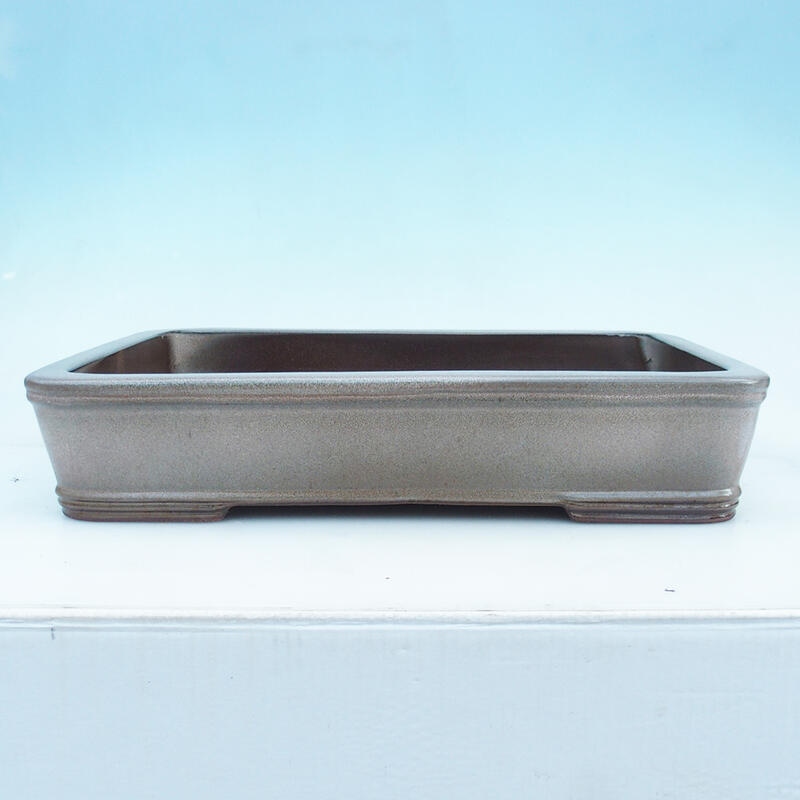 Miska Bonsai 51 x 34 x 10,5 cm, kolor beżowy - transport tylko na paletach