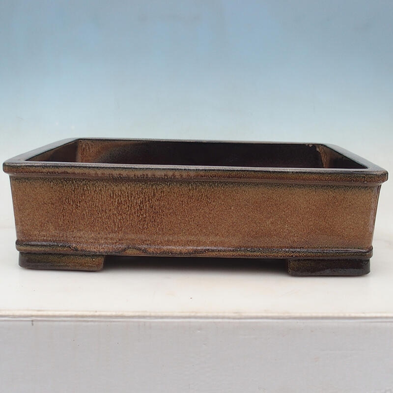 Miska Bonsai 52 x 41 x 15 cm, kolor brązowy - transport tylko na paletach