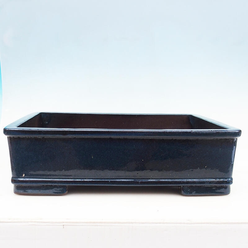 Miska Bonsai 52 x 41 x 15 cm, kolor niebieski - transport tylko na paletach
