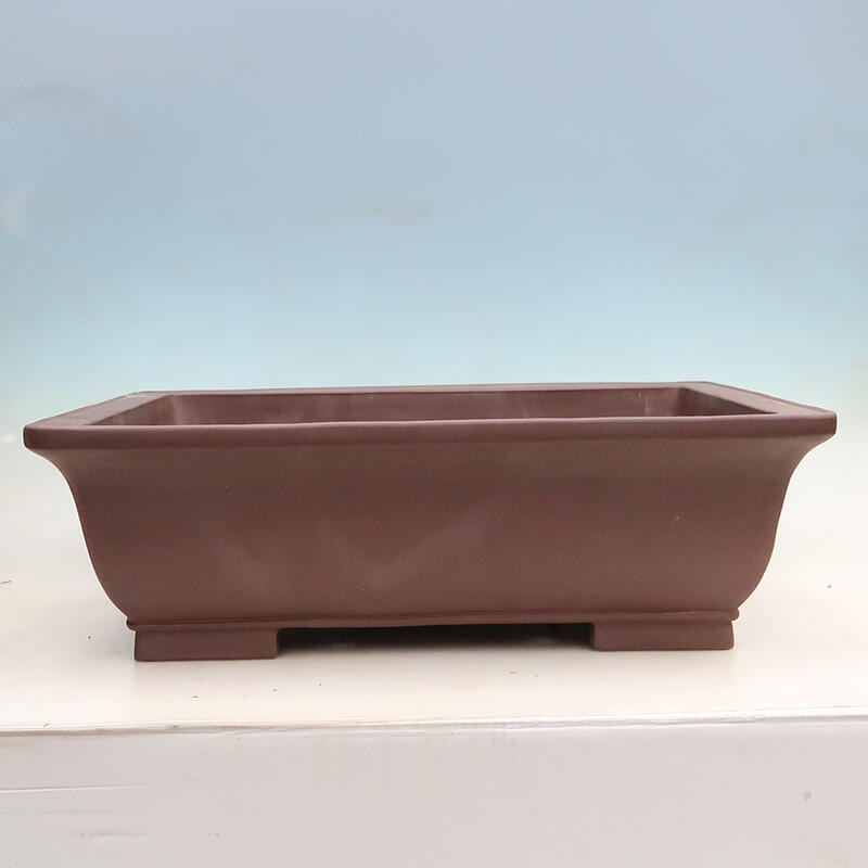 Miska Bonsai 60 x 46 x 19 cm, kolor brązowy
