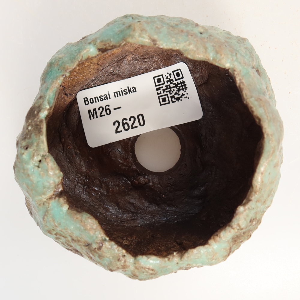 Ceramiczna skorupka  7 x 7 x 5,5 cm, kolor zielony