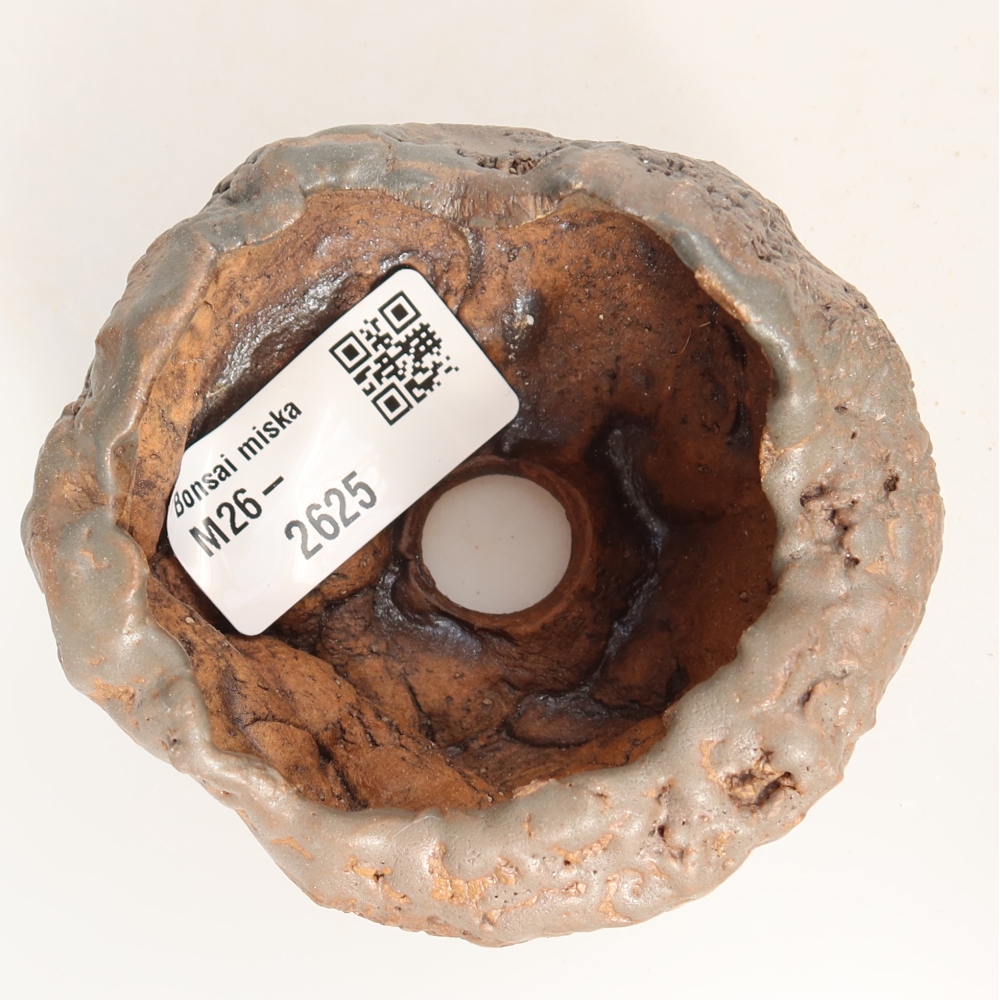 Ceramiczna skorupka  8 x 7,5 x 4,5 cm, kolor zielony