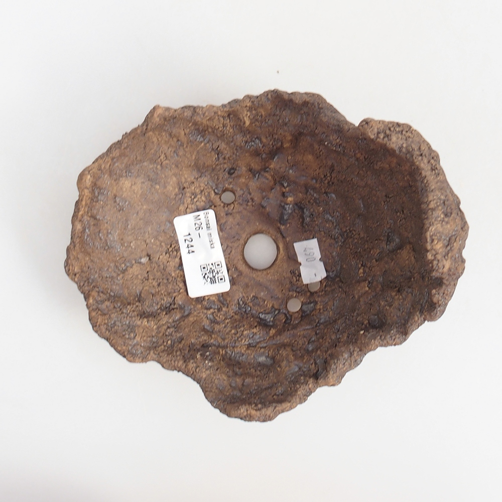 Ceramiczna skorupa 14,5 x 13 x 13 cm, kolor brązowy