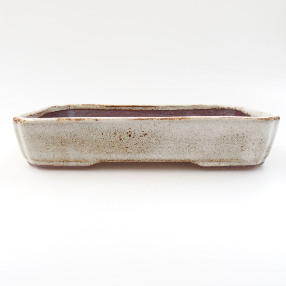 Ceramiczna miska bonsai 18 x 13 x 3,5 cm, kolor biały