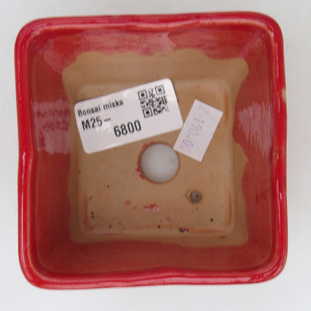 Ceramiczna miska do bonsai 8,5 x 8,5 x 6 cm, kolor czerwony