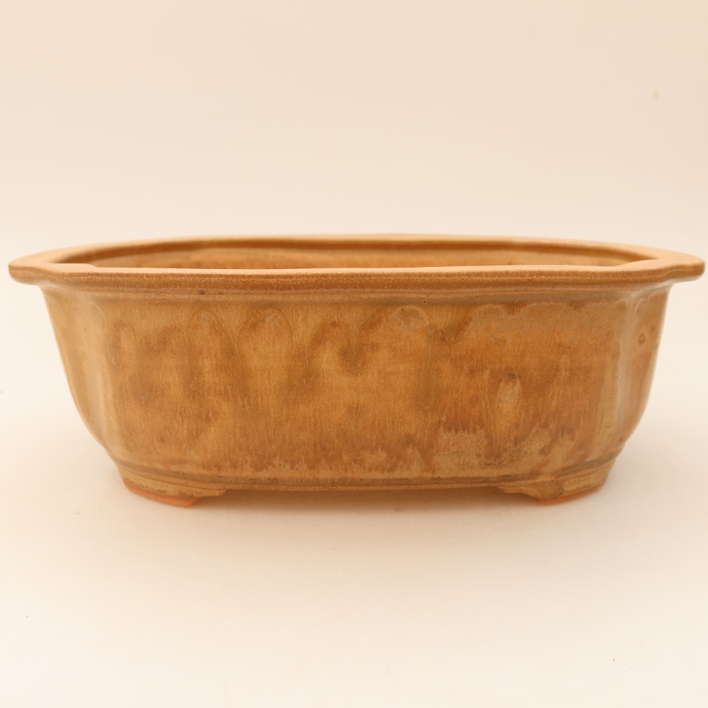 Ceramiczna miska do bonsai 22,5 x 17,5 x 7,5 cm, kolor beżowy