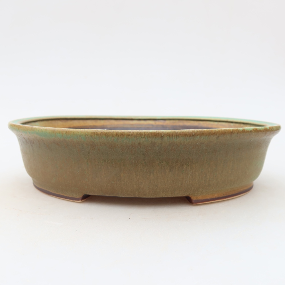 Ceramiczna miska do bonsai 21 x 19,5 x 5 cm, kolor zielony